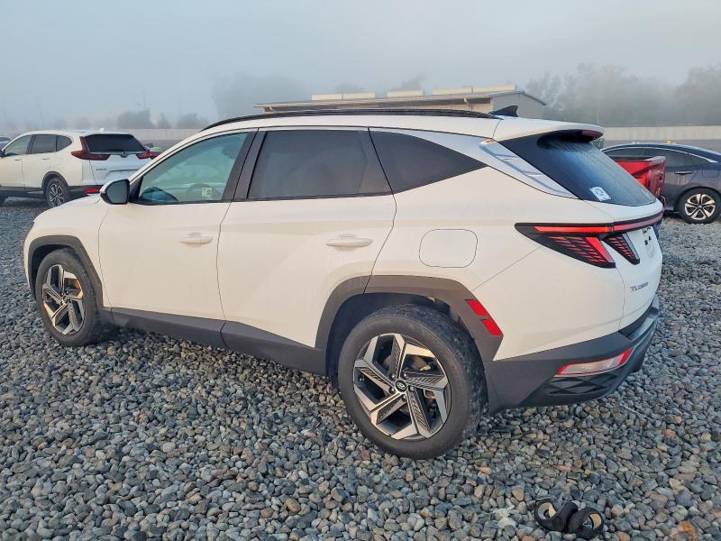Продажа на аукционе авто 2024 Hyundai Tucson, vin: 5NMJF3DE0RH369075, номер лота: 98494105