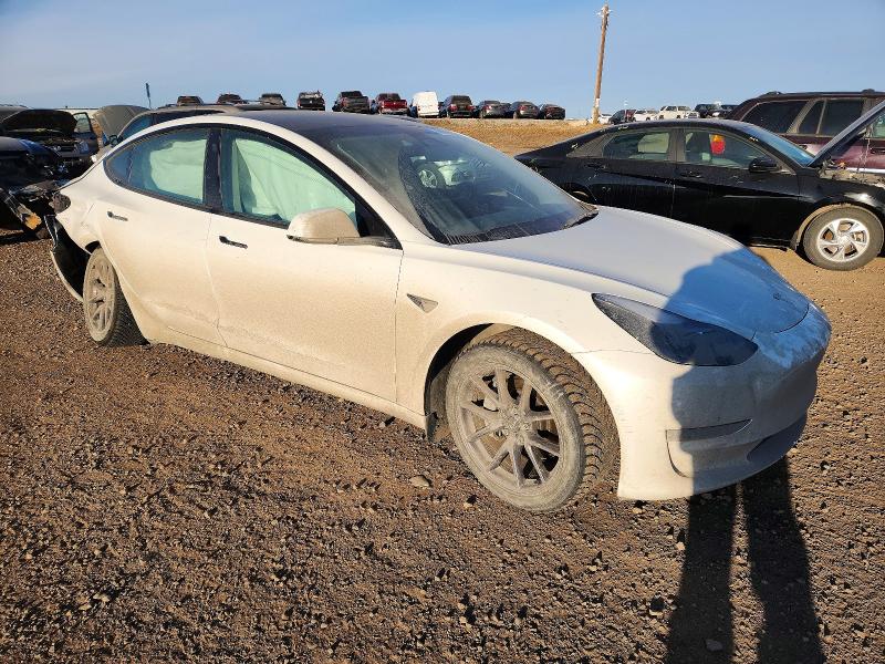 Продаж на аукціоні авто 2021 Tesla Model 3, vin: 5YJ3E1EA0MF088402, номер лоту: 74285075