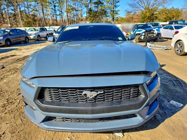 Продажа на аукционе авто 2024 Ford Mustang, vin: 1FA6P8TH7R5131387, номер лота: 73394005