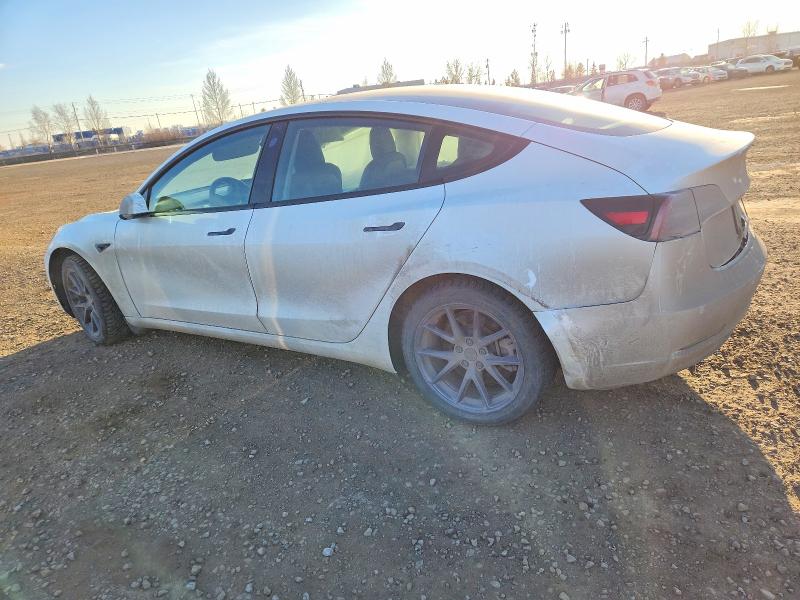 Продаж на аукціоні авто 2021 Tesla Model 3, vin: 5YJ3E1EA0MF088402, номер лоту: 74285075
