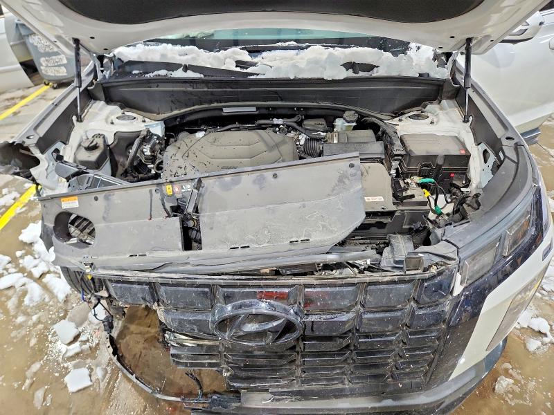 Продаж на аукціоні авто 2025 Hyundai Palisade, vin: KM8R3DGE9SU930655, номер лоту: 75493455