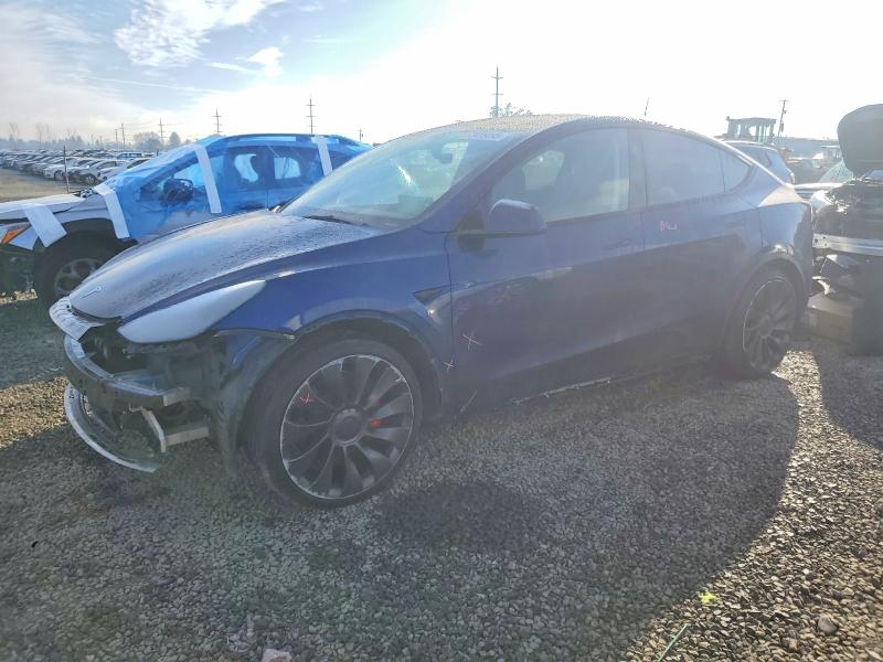 73419195 :رقم المزاد ، 7SAYGDEF8SF232114 vin ، 2025 Tesla Model Y مزاد بيع