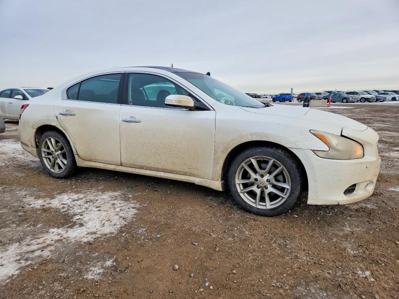 Продажа на аукционе авто 2009 Nissan Maxima 3.5 Sv 4dr, vin: 1N4AA51E09C858904, номер лота: 74993805