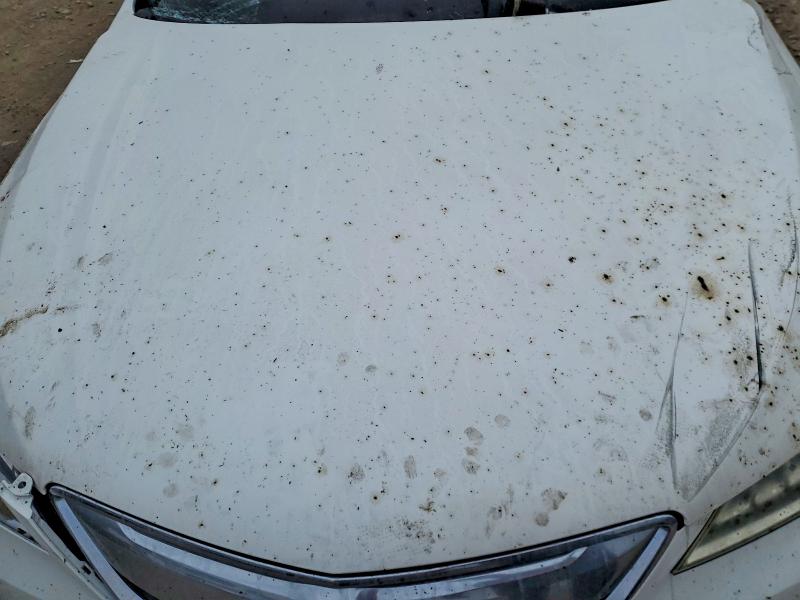 Aukcja sprzedaży 2016 Acura Tlx, vin: 19UUB1F30GA013484, numer aukcji: 73804555