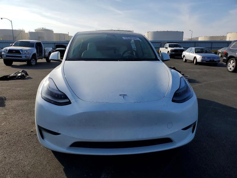 Продаж на аукціоні авто 2023 Tesla Model Y, vin: 7SAYGDEF1PF693842, номер лоту: 74692595