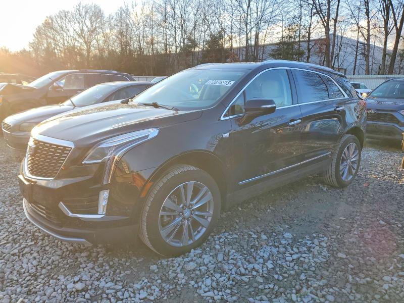 Auction sale of the 2024 Cadillac Xt5, vin: 1GYKNDR44RZ752424, lot number: 73075275