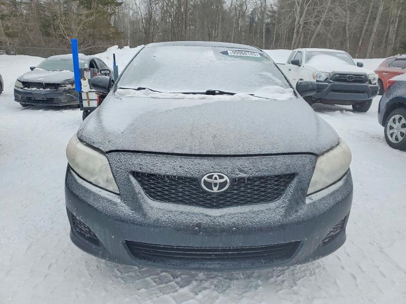 99960145 :رقم المزاد ، 2T1BU4EE1AC380580 vin ، 2010 Toyota Corolla مزاد بيع