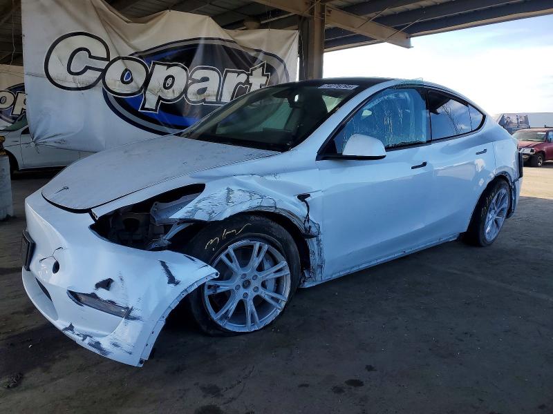 Продажа на аукционе авто 2023 Tesla Model Y, vin: 7SAYGDEE5PF866981, номер лота: 74276795