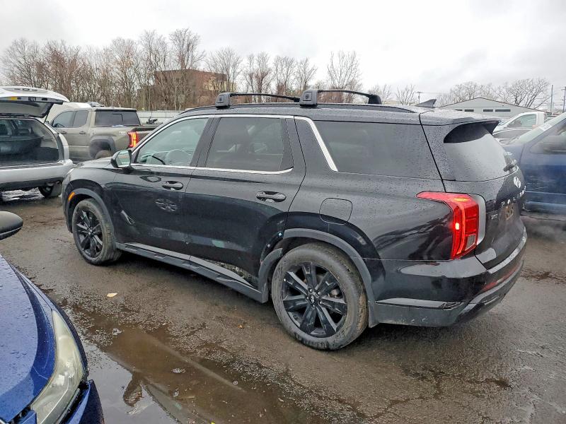 Aukcja sprzedaży 2024 Hyundai Palisade, vin: KM8R3DGE9RU741613, numer aukcji: 97838525