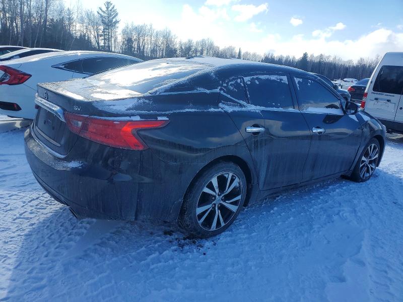 73614605 :رقم المزاد ، 1N4AA6AP6GC384445 vin ، 2016 Nissan Maxima مزاد بيع