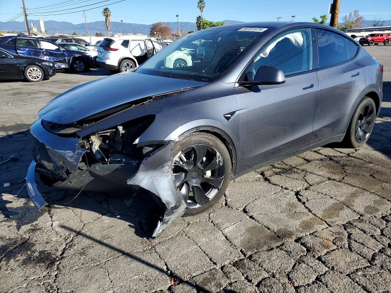 Продаж на аукціоні авто 2023 Tesla Model Y, vin: 7SAYGDEE2PA167532, номер лоту: 99707075
