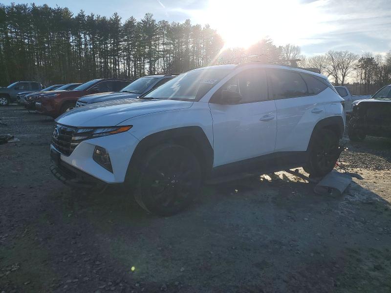 Auction sale of the 2023 Hyundai Tucson, vin: KM8JFCAE3PU190910, lot number: 99313615