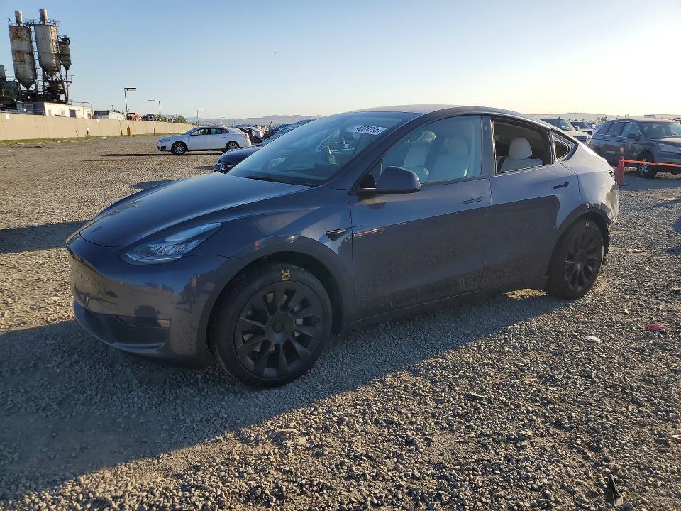 Продажа на аукционе авто 2023 Tesla Model Y, vin: 7SAYGDEE1PA076655, номер лота: 74803255