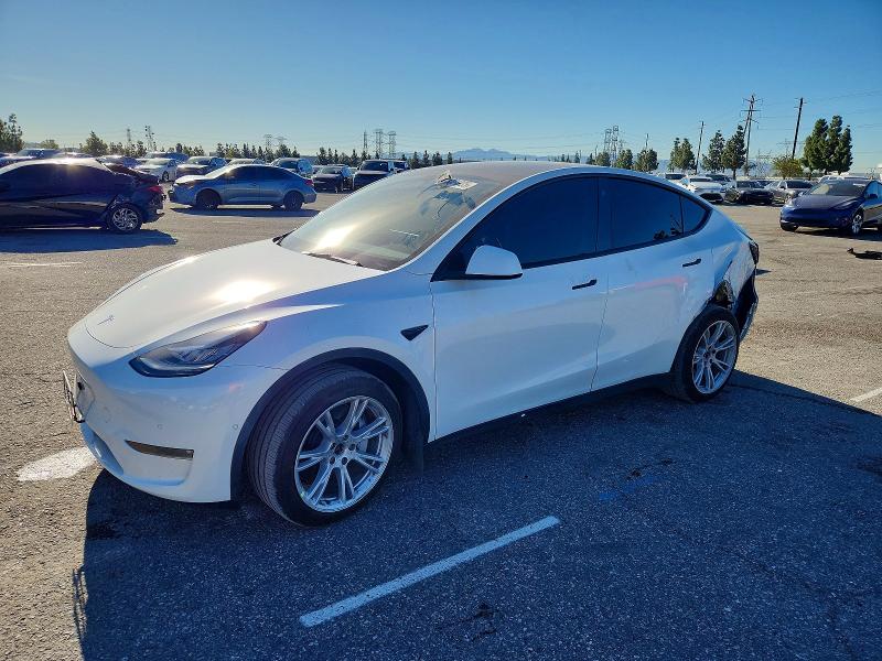 73321935 :رقم المزاد ، 5YJYGAEE5MF286489 vin ، 2021 Tesla Model Y مزاد بيع