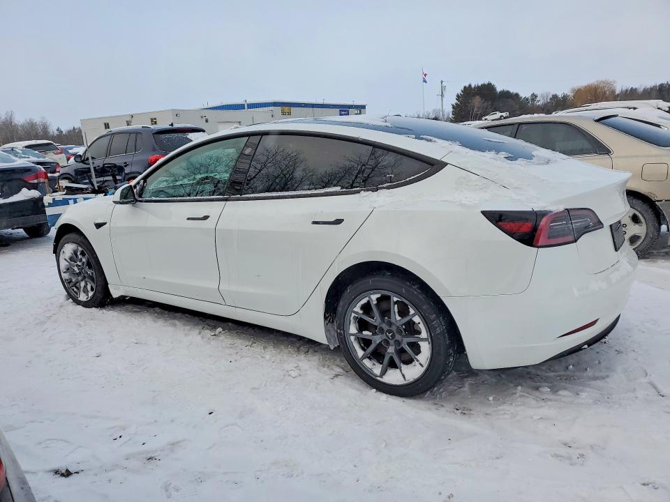 74037655 :رقم المزاد ، 5YJ3E1EA7PF557084 vin ، 2023 Tesla Model 3 مزاد بيع