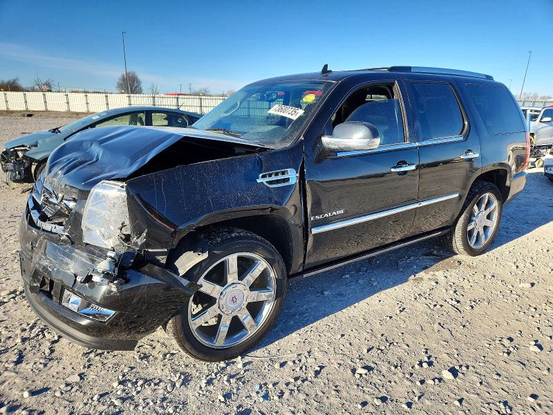 Aukcja sprzedaży 2011 Cadillac Escalade P, vin: 1GYS4CEF9BR275337, numer aukcji: 73600735