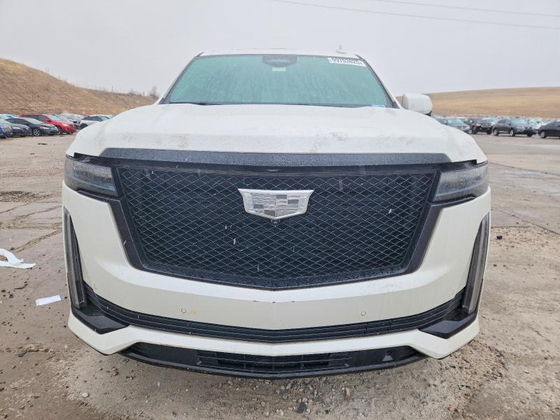 Продажа на аукционе авто 2023 Cadillac Escalade, vin: 1GYS4RKL1PR245771, номер лота: 99703025