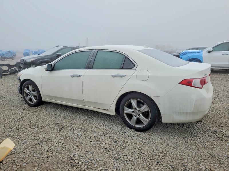 2009 Acura Tsx მანქანა იყიდება აუქციონზე, vin: JH4CU26669C022068, აუქციონის ნომერი: 75008315