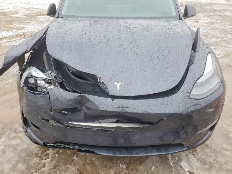 Продаж на аукціоні авто 2024 Tesla Model Y, vin: 7SAYGDEE9RA288416, номер лоту: 99466975
