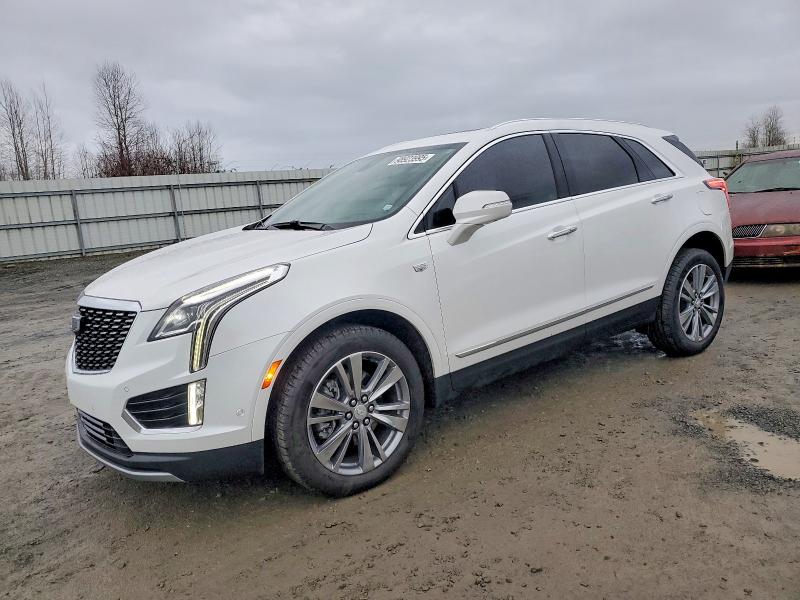 98923995 :رقم المزاد ، 1GYKNDR45SZ124961 vin ، 2025 Cadillac Xt5 Premiu مزاد بيع
