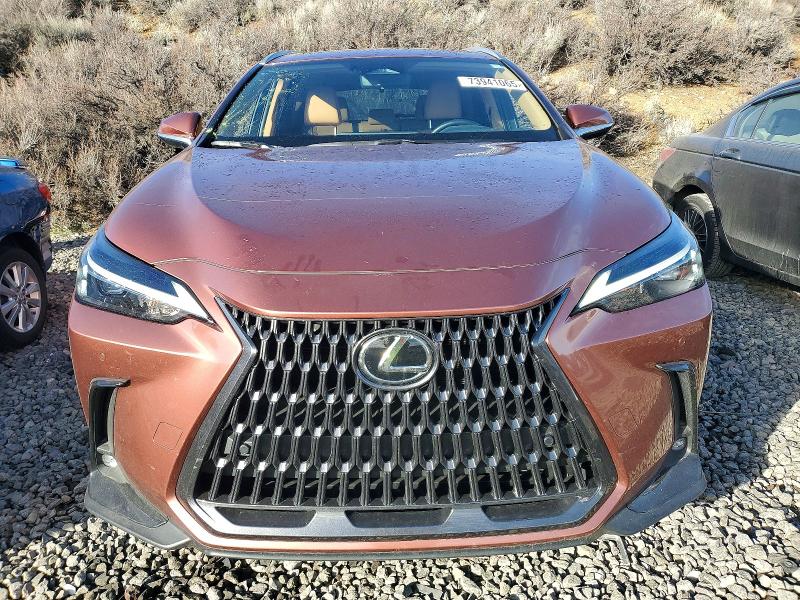 73941065 :رقم المزاد ، 2T2GKCEZ9SC039675 vin ، 2025 Lexus Nx مزاد بيع