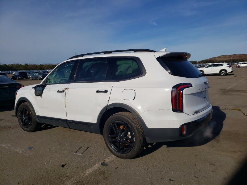 Продаж на аукціоні авто 2025 Kia Telluride, vin: 5XYP5DGC2SG618862, номер лоту: 98468575