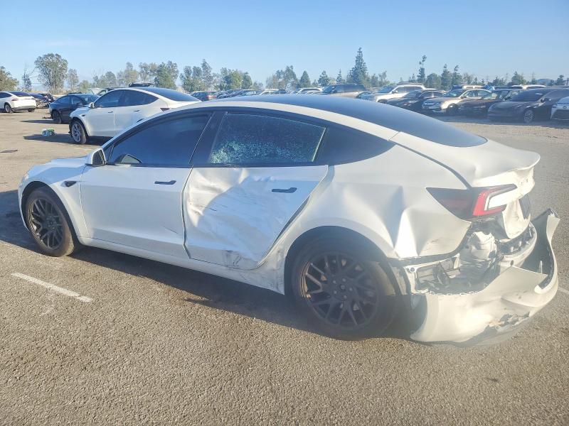 75404725 :رقم المزاد ، 5YJ3E1EAXSF083446 vin ، 2025 Tesla Model 3 مزاد بيع