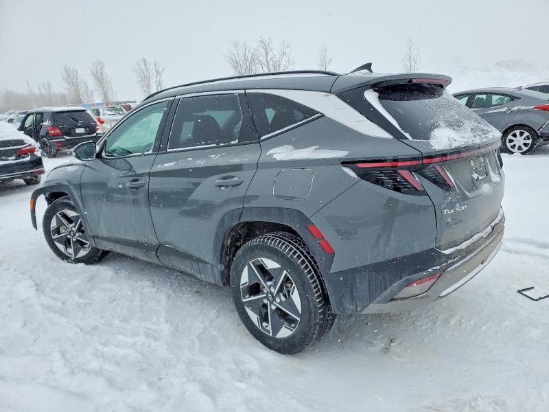 Продажа на аукционе авто 2025 Hyundai Tucson, vin: 5NMJCCDE9SH557446, номер лота: 74207335