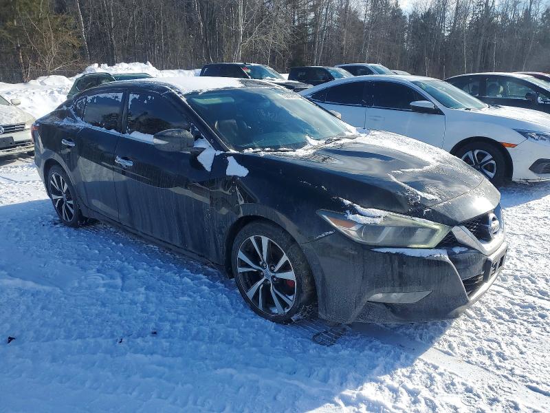 73614605 :رقم المزاد ، 1N4AA6AP6GC384445 vin ، 2016 Nissan Maxima مزاد بيع