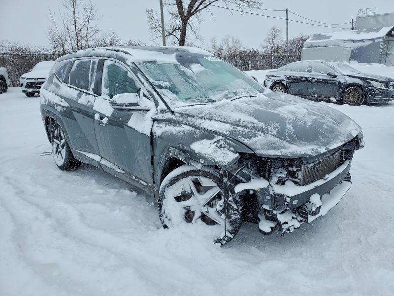 Продажа на аукционе авто 2025 Hyundai Tucson, vin: 5NMJCCDE9SH557446, номер лота: 74207335