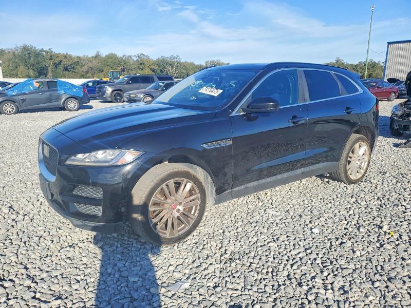 Продажа на аукционе авто 2019 Jaguar F-pace Pre, vin: SADCK2GX9KA356938, номер лота: 74270475