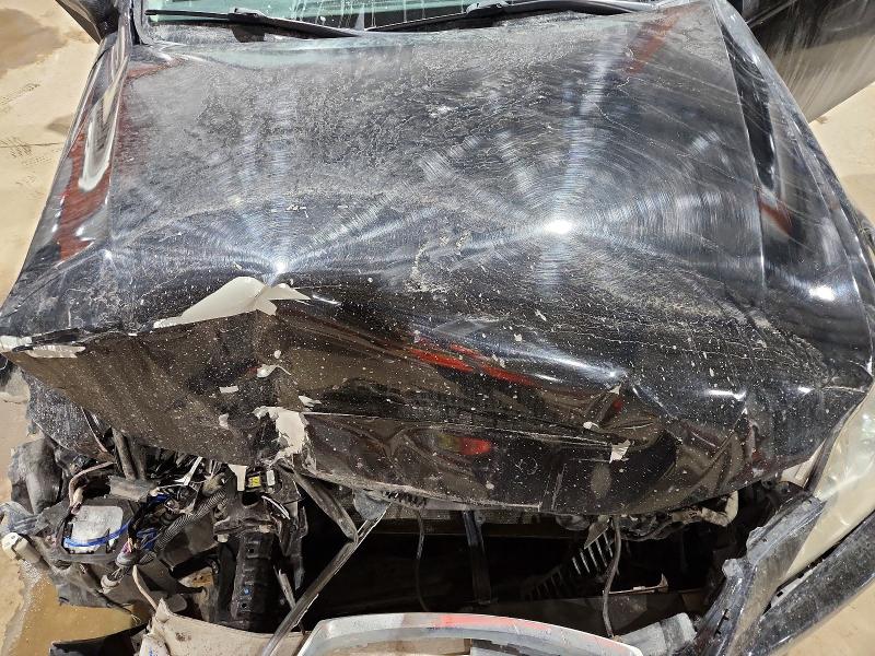 74685265 :رقم المزاد ، JTHCK262575008182 vin ، 2007 Lexus Is مزاد بيع