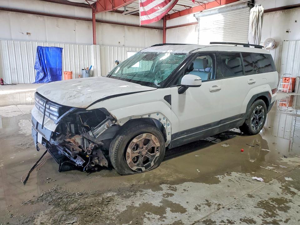 Aukcja sprzedaży 2024 Hyundai Santa Fe, vin: 5NMP2DGL8RH067698, numer aukcji: 73978655