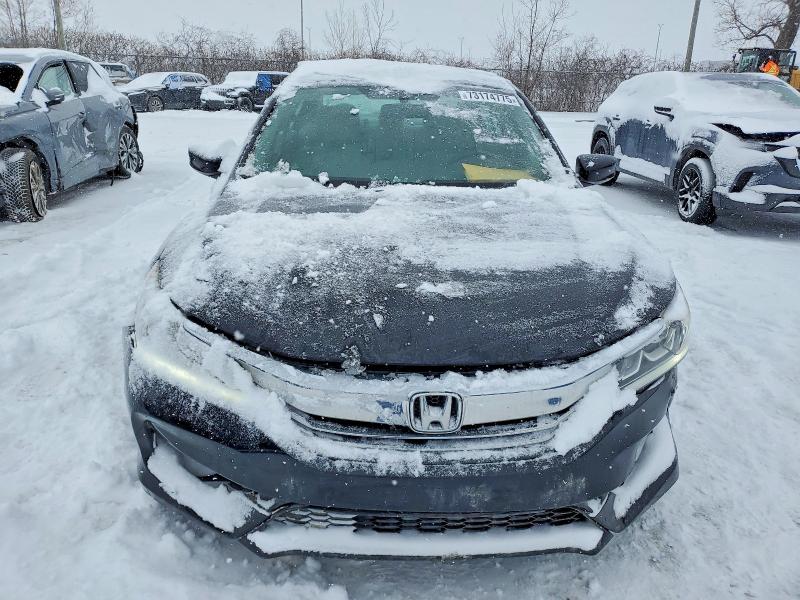 73174775 :رقم المزاد ، 1HGCR2F3XHA807620 vin ، 2017 Honda Accord مزاد بيع