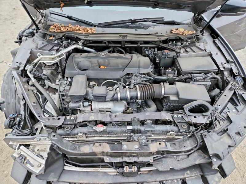 2022 Acura Tlx მანქანა იყიდება აუქციონზე, vin: 19UUB5F47NA005525, აუქციონის ნომერი: 99508335