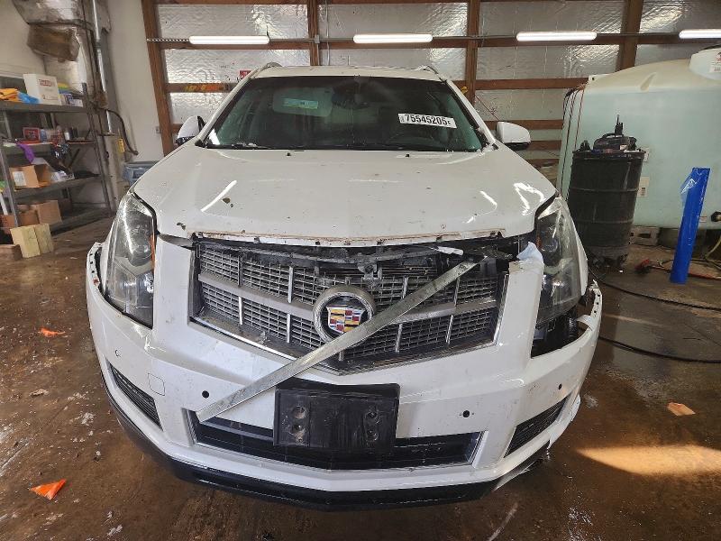 75545205 :رقم المزاد ، 3GYFNDEY4BS516157 vin ، 2011 Cadillac Srx مزاد بيع