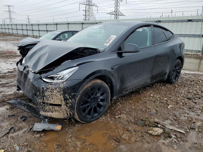 Продажа на аукционе авто 2023 Tesla Model Y, vin: 7SAYGDEE4PA025621, номер лота: 99648575