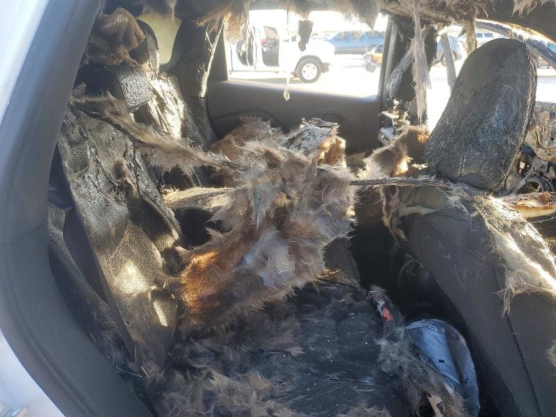 Продаж на аукціоні авто 2021 Jeep Cherokee, vin: 1C4PJLCB1MD203469, номер лоту: 75155315