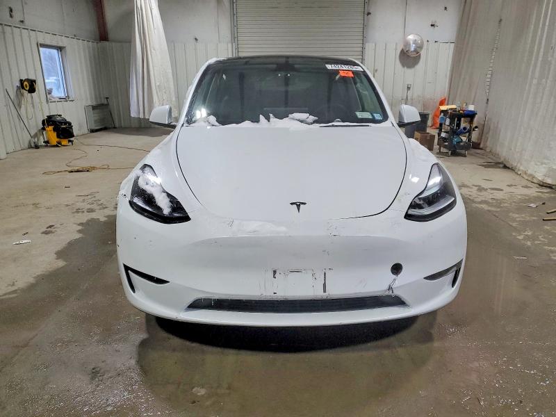 Продажа на аукционе авто 2025 Tesla Model Y, vin: 7SAYGDED2SF251269, номер лота: 74241285