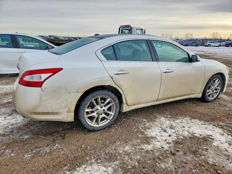 Продажа на аукционе авто 2009 Nissan Maxima 3.5 Sv 4dr, vin: 1N4AA51E09C858904, номер лота: 74993805