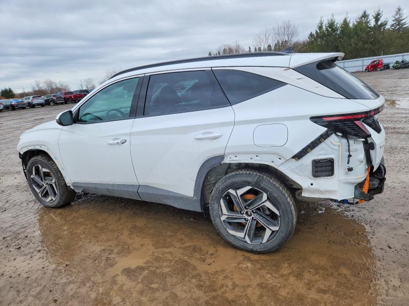 Продажа на аукционе авто 2024 Hyundai Tucson, vin: KM8JCCD1XRU233188, номер лота: 98397915