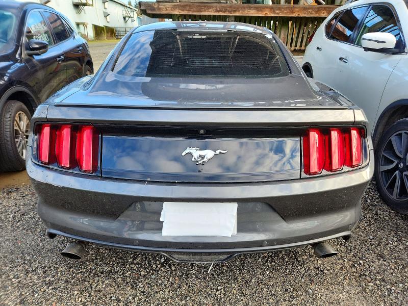 98799645 :رقم المزاد ، 1FA6P8TH9H5341147 vin ، 2017 Ford Mustang مزاد بيع