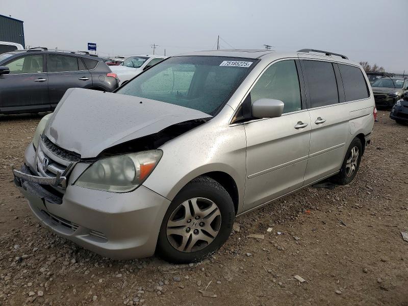 Auction sale of the 2007 Honda Odyssey, vin: 5FNRL38777B409254, lot number: 75185225