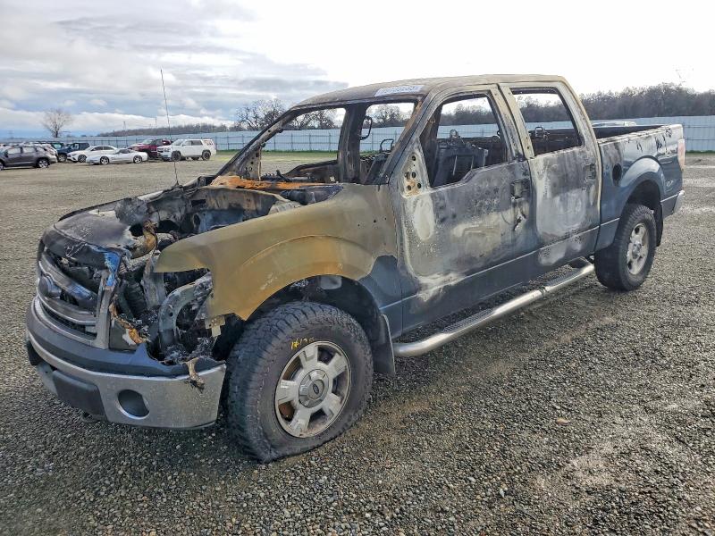 Продажа на аукционе авто 2013 Ford F150, vin: 1FTFW1EF5DKG11440, номер лота: 99736235