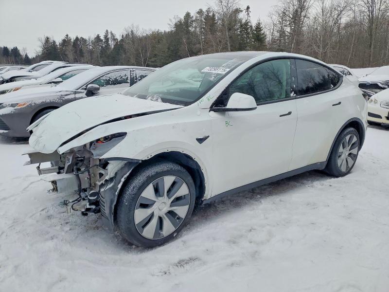 Aukcja sprzedaży 2023 Tesla Model Y, vin: 7SAYGDEE9PF775910, numer aukcji: 73298115