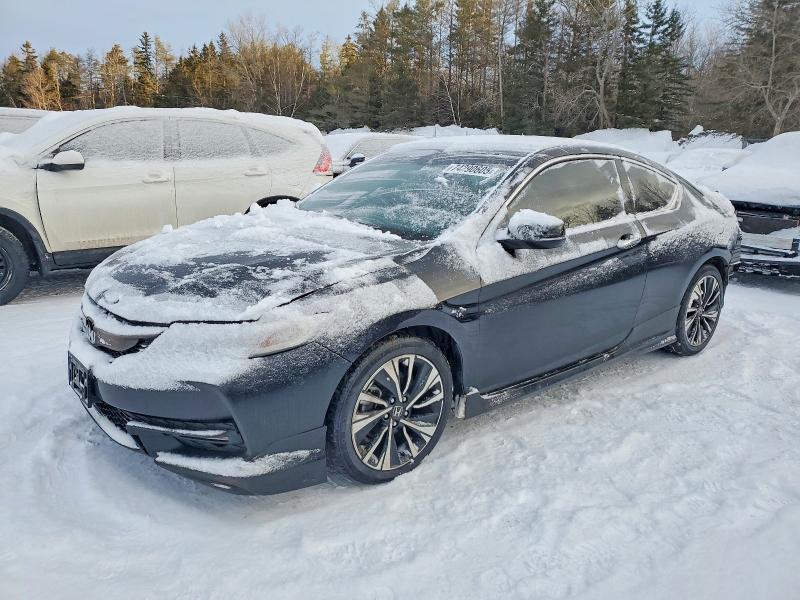 74290605 :رقم المزاد ، 1HGCT1B71HA800589 vin ، 2017 Honda Accord مزاد بيع