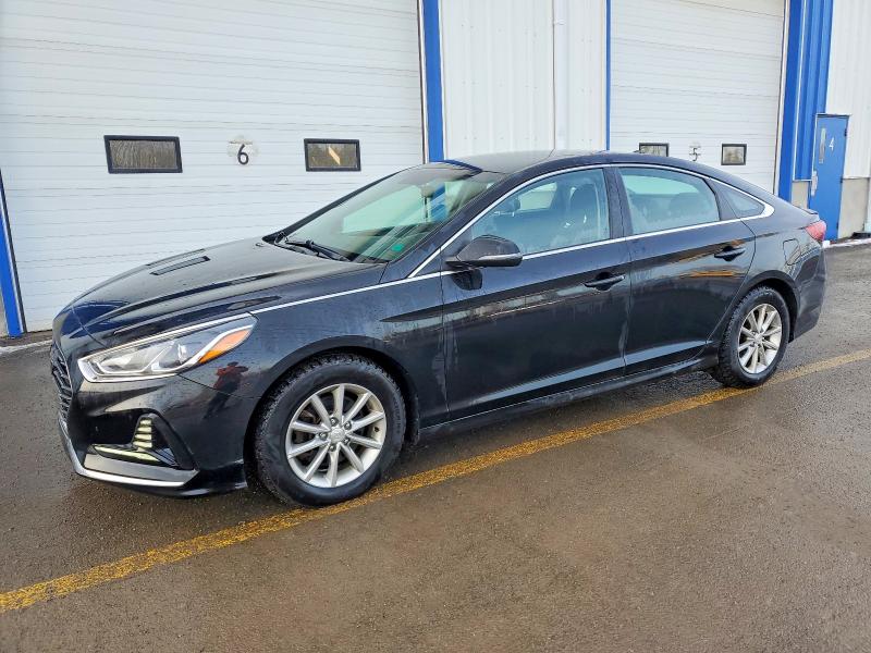 72803155 :رقم المزاد ، 5NPE24AF1KH794944 vin ، 2019 Hyundai Sonata مزاد بيع