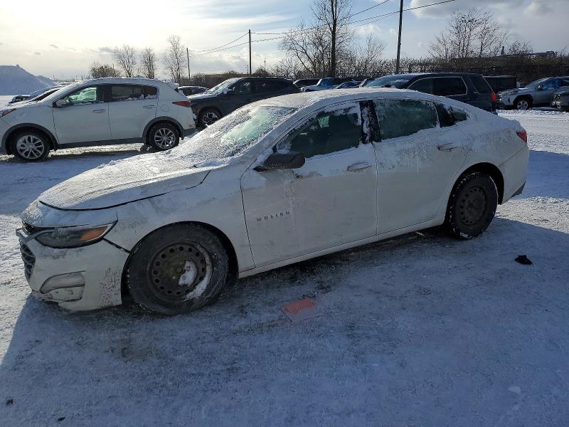 Auction sale of the 2019 Chevrolet Malibu, vin: 1G1ZB5ST8KF174185, lot number: 73819945