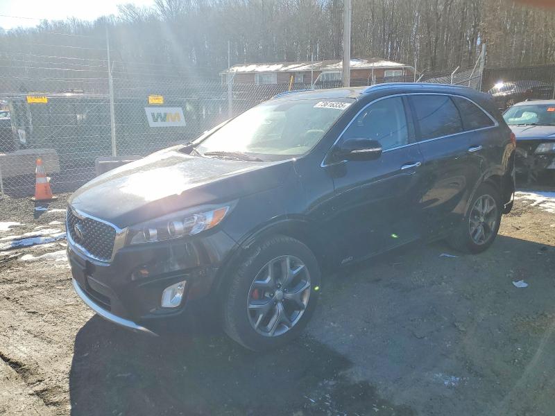 Auction sale of the 2016 Kia Sorento, vin: 5XYPKDA51GG143215, lot number: 73616335