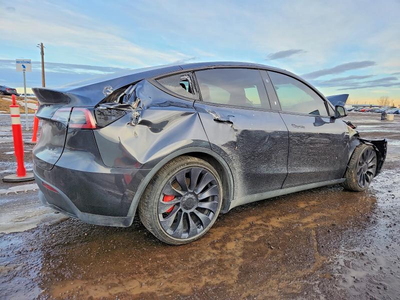 Продажа на аукционе авто 2024 Tesla Model Y, vin: 7SAYGDEF8RF041383, номер лота: 73325095